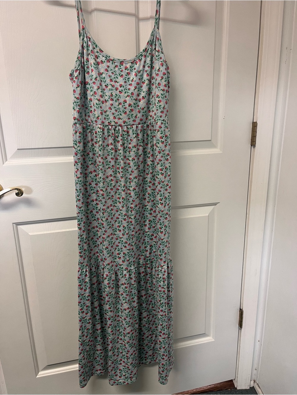 Spaghetti Straps Floral Maxi Dress in Mint with strawberry print Summer